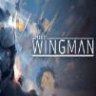 Project Wingman 僚机计划 中文版